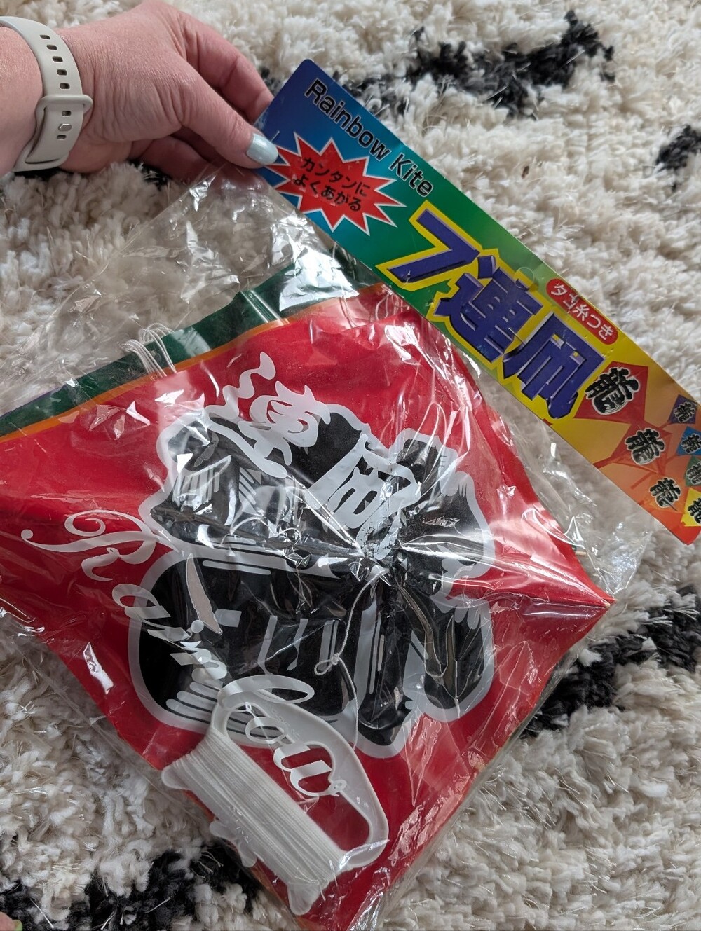 Japanese Takoage 7-segment dragon kite ("Rainbow Kite")